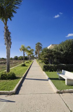 İtalya, Sicilya, Akdeniz, Playa Grande (Ragusa Eyaleti); deniz kenarında evler ve palmiye ağaçları 