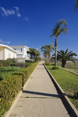 İtalya, Sicilya, Akdeniz, Playa Grande (Ragusa Eyaleti); deniz kenarında evler ve palmiye ağaçları 