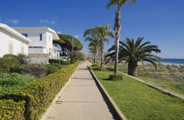 İtalya, Sicilya, Akdeniz, Playa Grande (Ragusa Eyaleti); deniz kenarında evler ve palmiye ağaçları 