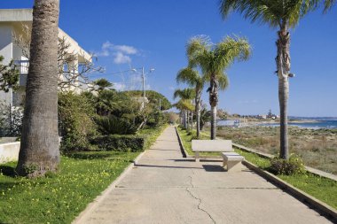 İtalya, Sicilya, Akdeniz, Playa Grande (Ragusa Eyaleti); deniz kenarında evler ve palmiye ağaçları 