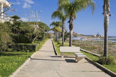 İtalya, Sicilya, Akdeniz, Playa Grande (Ragusa Eyaleti); deniz kenarında evler ve palmiye ağaçları 