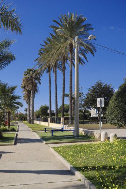 İtalya, Sicilya, Akdeniz, Playa Grande (Ragusa Eyaleti); deniz kenarında evler ve palmiye ağaçları 