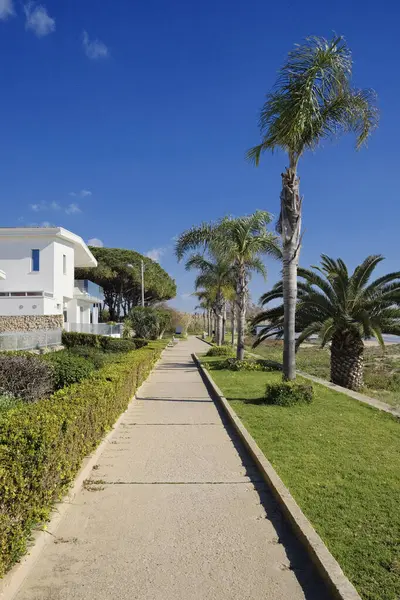 İtalya, Sicilya, Akdeniz, Playa Grande (Ragusa Eyaleti); deniz kenarında evler ve palmiye ağaçları 