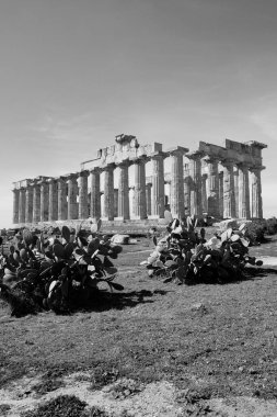 İtalya, Sicilya, Selinunte, Yunan Hera Tapınağı (MÖ 409).)