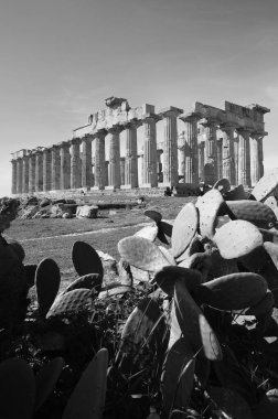 İtalya, Sicilya, Selinunte, Yunan Hera Tapınağı (MÖ 409).)