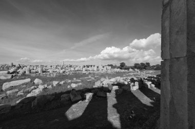 İtalya, Sicilya, Selinunte, Yunan Hera Tapınağı (MÖ 409).)