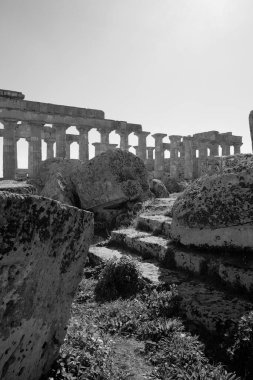 İtalya, Sicilya, Selinunte, Yunan Hera Tapınağı (MÖ 409).)