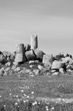 İtalya, Sicilya, Selinunte, Yunan Hera Tapınağı (MÖ 409).)