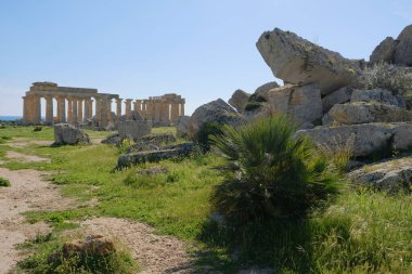 İtalya, Sicilya, Selinunte, Yunan Hera Tapınağı (MÖ 409).)