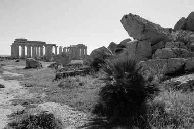 İtalya, Sicilya, Selinunte, Yunan Hera Tapınağı (MÖ 409).)