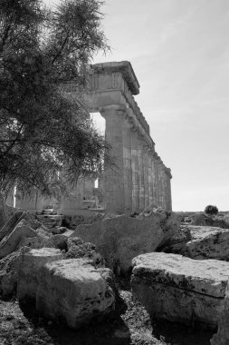 İtalya, Sicilya, Selinunte, Yunan Hera Tapınağı (MÖ 409).)