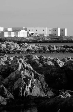 İtalya, Sicilya, Akdeniz, Egadi takımadaları, Favignana Adası (Trapani Eyaleti); adanın kayalık kıyılarının manzarası