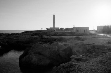 İtalya, Sicilya, Akdeniz, Egadi takımadaları, Favignana Adası (Trapani Eyaleti); bir deniz feneri ve adanın kayalık sahili manzarası 