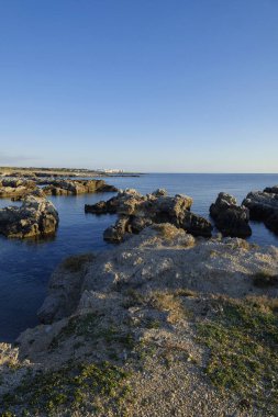 İtalya, Sicilya, Akdeniz, Egadi takımadaları, Favignana Adası (Trapani Eyaleti); adanın kayalık kıyılarının manzarası