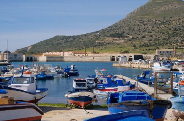 İtalya, Sicilya, Akdeniz, Egadi takımadaları, Favignana Adası (Trapani Eyaleti); 21 Mart 2024, limanda ahşap balıkçı tekneleri (arka planda eski ton balığı fabrikası) -