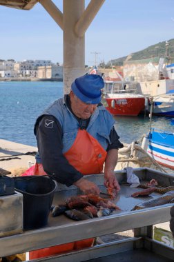 İtalya, Sicilya, Akdeniz, Egadi takımadaları, Favignana Adası (Trapani Eyaleti); 21 Mart 2024, limanda balık temizleyen yerel balıkçı - EDITORIAL