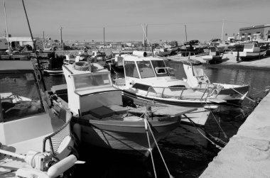 İtalya, Sicilya, Akdeniz, Egadi takımadaları, Favignana Adası (Trapani Eyaleti); 21 Mart 2024, limanda balıkçı tekneleri - EDITORIAL