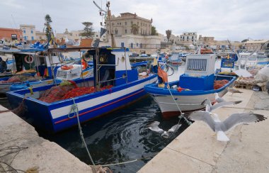 İtalya, Sicilya, Akdeniz, Egadi takımadaları, Favignana Adası (Trapani Eyaleti); limanda martılar, balıkçı tekneleri ve ağlar