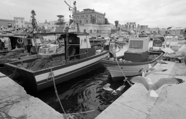 İtalya, Sicilya, Akdeniz, Egadi takımadaları, Favignana Adası (Trapani Eyaleti); limanda martılar, balıkçı tekneleri ve ağlar