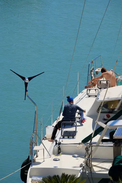 İtalya, Sicilya, Akdeniz, Marina di Ragusa (Ragusa Eyaleti); limandaki bir katamaran yelkenli teknesindeki insanlar 