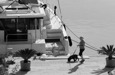 İtalya, Sicilya, Akdeniz, Marina di Ragusa (Ragusa Eyaleti); 28 Kasım 2024, limanda köpeği ve katamaran yelkenlisi olan bir kadın - EDITORIAL