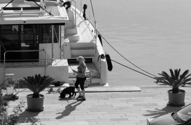 İtalya, Sicilya, Akdeniz, Marina di Ragusa (Ragusa Eyaleti); 28 Kasım 2024, limanda köpeği ve katamaran yelkenlisi olan bir kadın - EDITORIAL