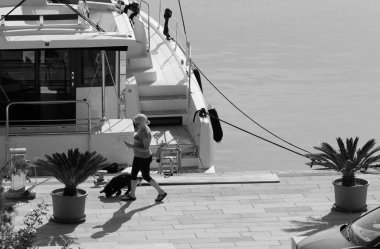 İtalya, Sicilya, Akdeniz, Marina di Ragusa (Ragusa Eyaleti); 28 Kasım 2024, limanda köpeği ve katamaran yelkenlisi olan bir kadın - EDITORIAL