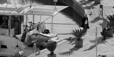 İtalya, Sicilya, Akdeniz, Marina di Ragusa (Ragusa Eyaleti); 1 Aralık 2024, limanda bir köpek ve katamaran yelkenli teknesi - EDITORIAL