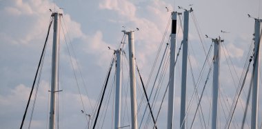 İtalya, Sicilya, Akdeniz, Marina di Ragusa (Ragusa Eyaleti); limanda yelkenli gemi direkleri 