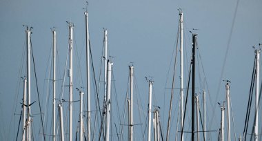 İtalya, Sicilya, Akdeniz, Marina di Ragusa (Ragusa Eyaleti); limanda yelkenli gemi direkleri 