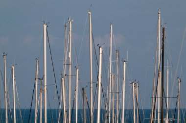 İtalya, Sicilya, Akdeniz, Marina di Ragusa (Ragusa Eyaleti); limanda yelkenli gemi direkleri 