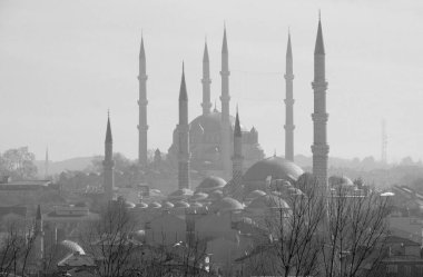 Türkiye, Edirne, Selimiye Camii 'nin manzarası)
