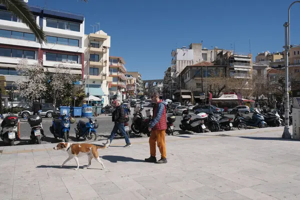 Yunanistan, Kavala; 8 Mart 2025, şehrin merkez caddesinde binalar, insanlar ve trafik - EDITORIAL