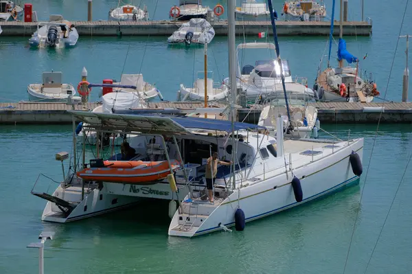 İtalya, Sicilya, Akdeniz, Marina di Ragusa (Ragusa Eyaleti); 6 Haziran 2025, limandaki katamaran yelkenli teknesinde köpekli insanlar - EDITORIAL