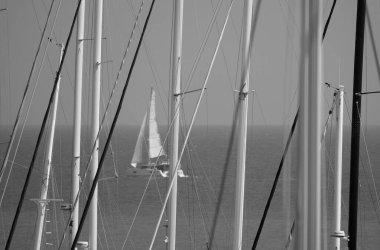 İtalya, Sicilya, Akdeniz, Marina di Ragusa (Ragusa ili); 17 Temmuz 2025, limanda yelkenli direkleri ve arka planda bir katamaran yelkenlisi - EDITORIAL