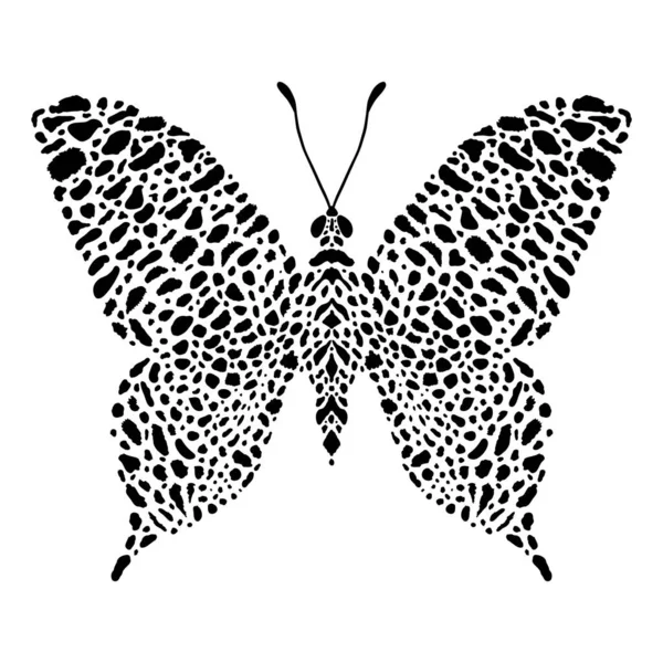 Leopar Desenli Leopar Gözlü Kelebek — Stok Vektör