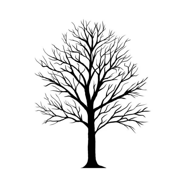 Силуэт Ручной Работы Дерева Белом Фоне — стоковый вектор
