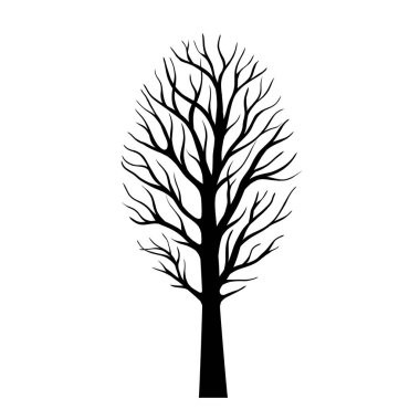 Beyaz arka planda izole edilmiş, oval şeklinde taçlı bir ağaç..