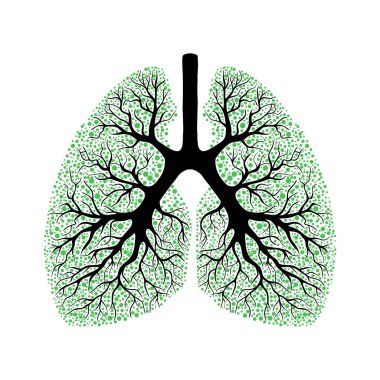 İnsan ciğerleri ağaç dalları olarak biçimlendirildi. Beyaz arkaplanda vektör illüstrasyonu.