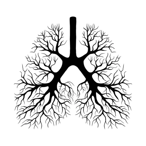 白い背景に隔離された木の根や枝の形で人間の肺のベクトルイラスト — ストックベクタ