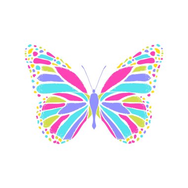 Beyaz arka planda renkli kelebek.