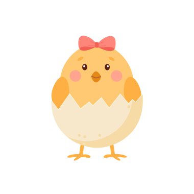 Beyaz arka planda yumurtadan çıkan tatlı küçük tavuk...