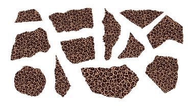 Leopar desenli biçimlendirilmiş kağıt parçaları koleksiyonu