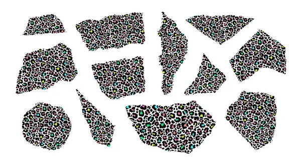 Leopar desenli biçimlendirilmiş kağıt parçaları koleksiyonu