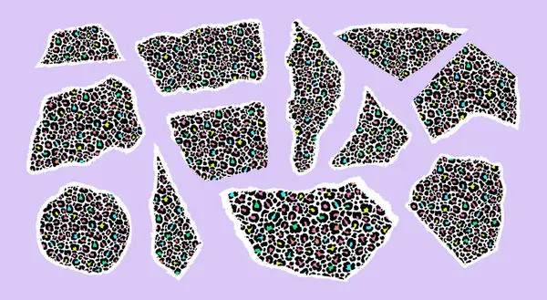 Leopar desenli biçimlendirilmiş kağıt parçaları koleksiyonu