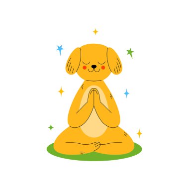 Tatlı köpek meditasyon pozunda, gözleri kapalı ve ön pençeleri beyaz arka planda bir Namaste jesti ile birbirine bastırılmış..