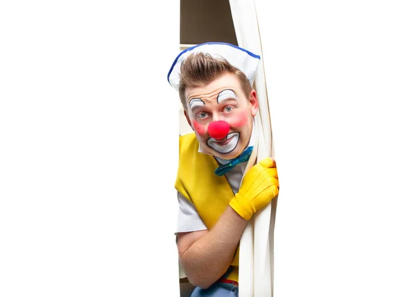 Drôle Clown Expression Joyeuse Souriante Isolé Sur Fond Blanc Images De Stock Libres De Droits
