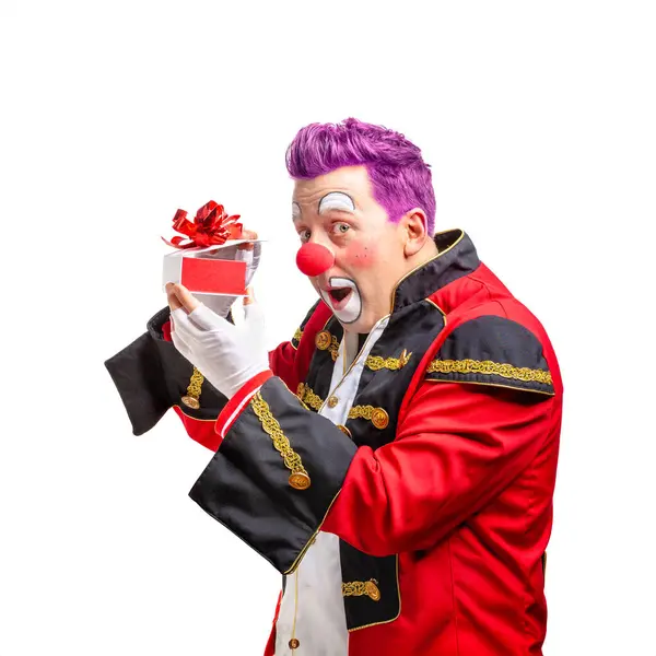 Rolig Clown Med Leende Glada Uttryck Isolerad Vit Bakgrund Royaltyfria Stockbilder