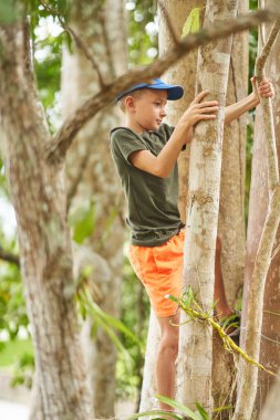 Ormanda ağaçlara tırmanan bir çocuğun fotoğrafı. Yüksek kalite fotoğraf