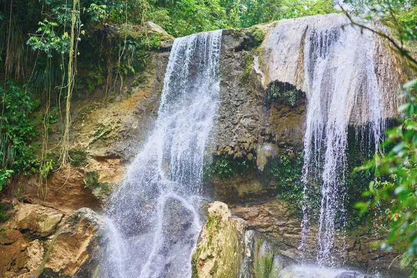 Stock image Photo of Gozalandia Waterfall in Puerto Rico. High quality photo